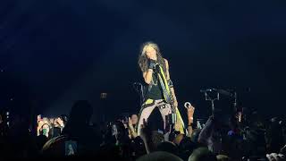 Aerosmith - I Don't Want to Miss a Thing (Live)