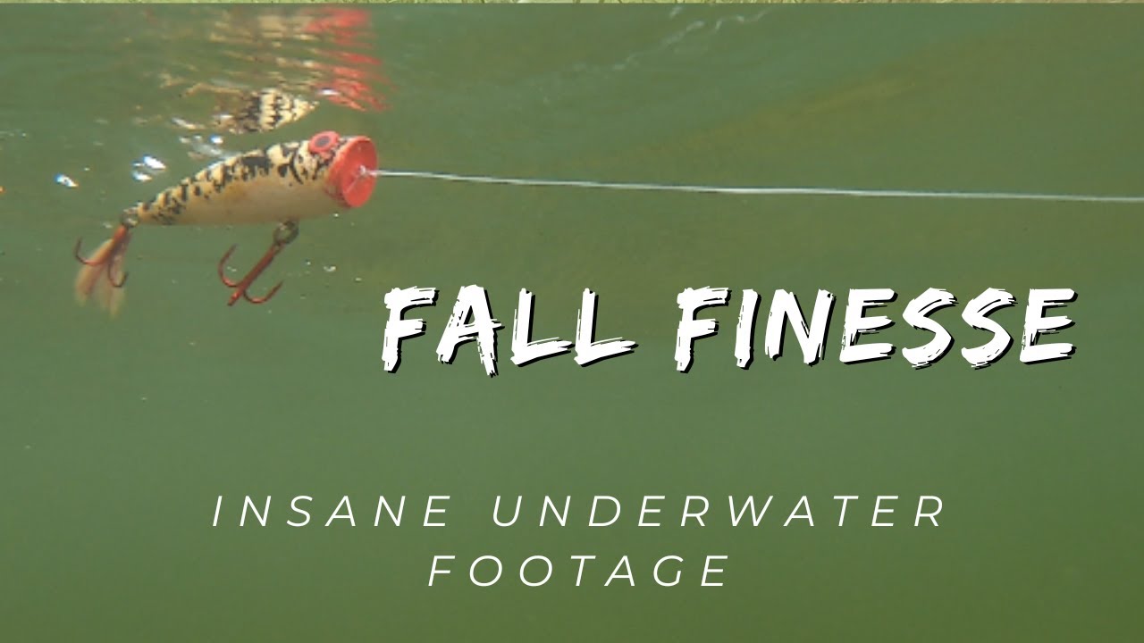 Fall bass fishing lures , Insane underwater footage