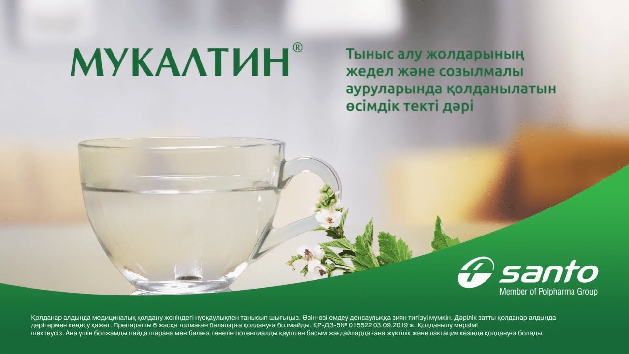 Мукалтин - тыныс алу жолдарының жедел және созылмалы ауруларында ...