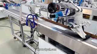 Automatic Soft Bag Labeling Machine With Suction Cup Bag Feeder screenshot 4