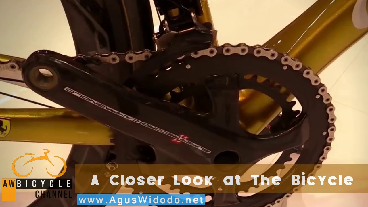 Colnago V1R Golden Road Bike 2017