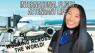 INTERNATIONAL FLIGHT ATTENDANT LIFE: working across the WORLD! 🌎