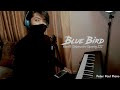 BLUE BIRD cover by Peter Paul Piano