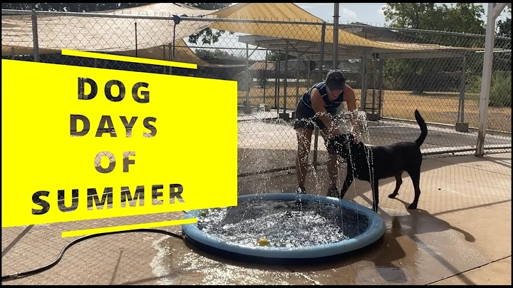 What are the Dog Days of Summer? - DayDayNews