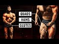 The Most Effective Full Body Workout: Leg Focused (Science Applied Ep 4)