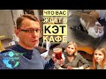 Таллин Эстония | Cat Cafe Nurri | #Авиамания в Кэт кафе