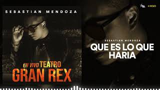 Sebastián Mendoza - Que Es Lo Que Haría