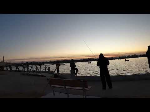 Walleye Run Fox River De Pere at Dusk/Night 4/9/22