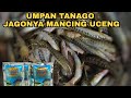 Nyetir dari jakartajogja demi mancing uceng