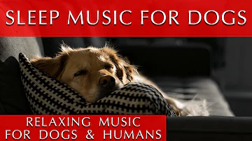 Relaxing Music for Dogs and Humans to Sleep To | 432Hz Meditation Music