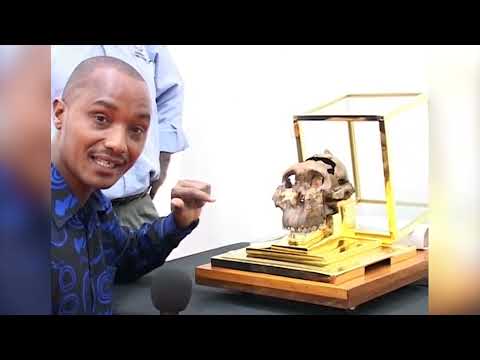 FUVU HALISI LA ZAMADAMU LILILO KUNDULIWA NA DKT MARY LEAK KATIKA BONDE LA OLDUVAI MWAKA 1959 