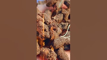 Lan tươi tốt, rễ khỏe, hoa đẹp với Vermis" #phantrunque #tronglan #chamsoccaycanh