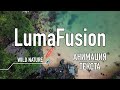 LumaFusion | Анимация текста