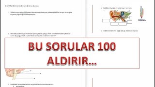 6.SINIF FEN BİLİMLERİ 2.DÖNEM 2.YAZILI