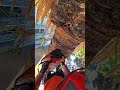 Extreme Wood Cutting Skills and Satisfying Tree Removal Process ] #treecutting #shortvideo #ytshorts