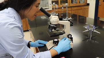 Microscope Basics: Swift M2250 Model