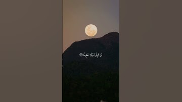 سورة النساء { ٢٧ _ ٢٨ } #ياسر_الدوسري #قران #انشر_تؤجر