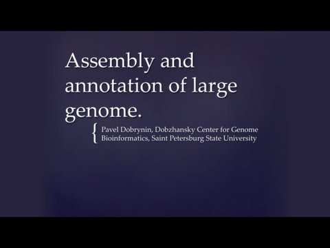 Сборка и аннотация больших геномов — Павел Добрынин