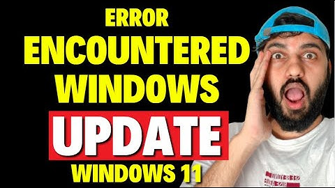 Error Encountered Windows Update Windows 11