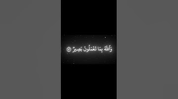 اكتب شي توجر علية| القارئ محمد اللحيدان🤍🖤