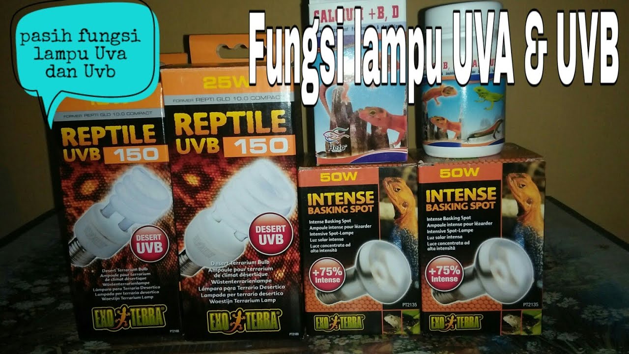 FUNGSI!!! Lampu uva dan Uvb untuk reptil - YouTube