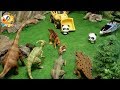 恐竜の卵が盗まれた！スーパー救助隊 緊急出動！❤トイバス（ToyBus) キッズ おもちゃアニメ