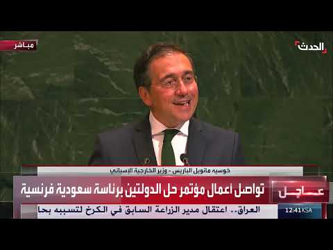 دعوة إسبانية لحل الدولتين والاعتراف بفلسطين