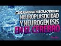 Cómo aumentar nuestra capacidad Neuroplasticidad y Neurogénesis en el cerebro