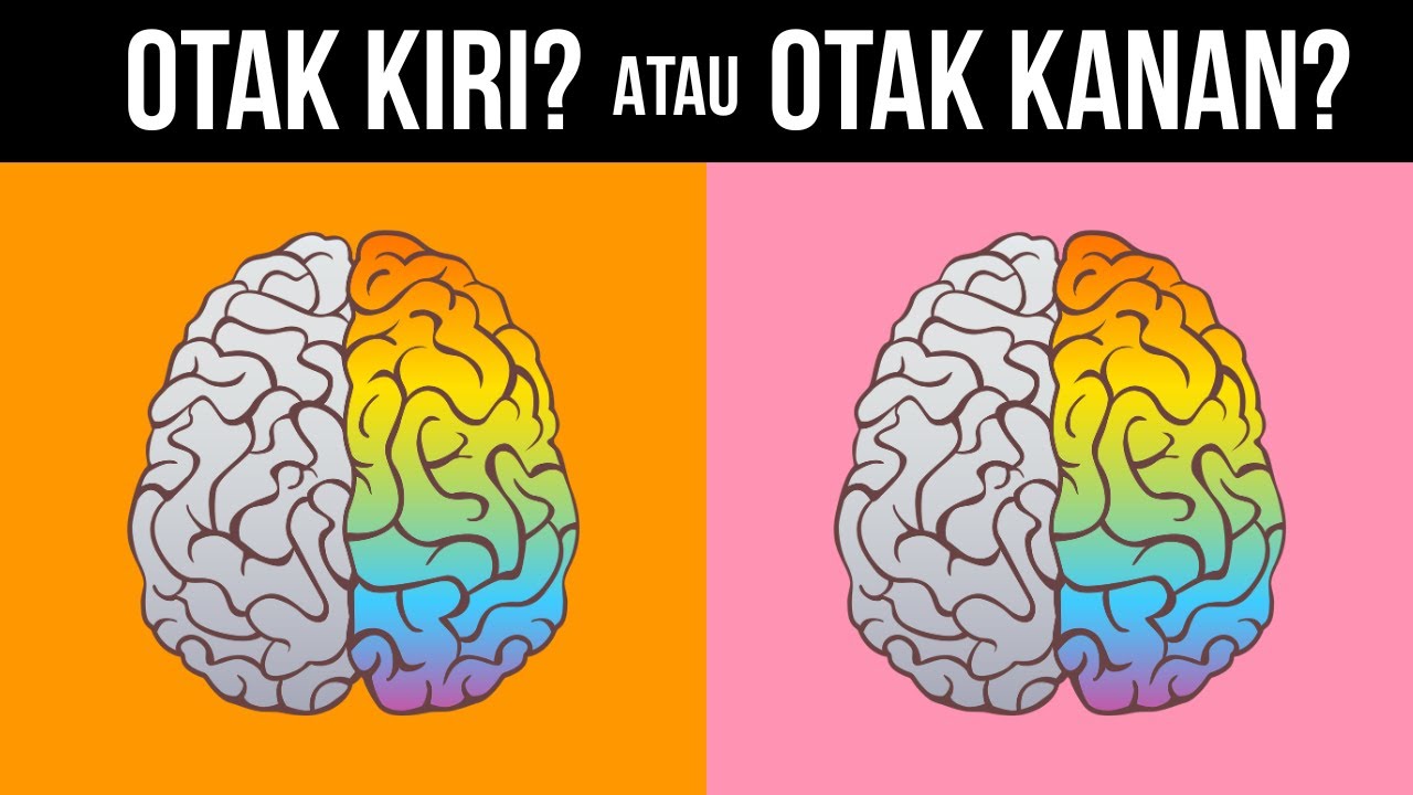 OTAK KAMU LEBIH DOMINAN KIRI ATAU KANAN? 10 Pertanyaan Interaktif + Profesi yang Cocok Buat Kamu!