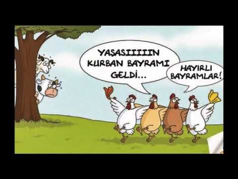 Kurban bayramı mesajları, resimli komik bayram videoları, bayram mesajları, komik bayram capsleri