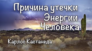 Чувство собственной важности. Диалог дона Хуана и Карлоса Кастанеды.