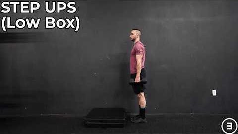 Step Ups (Low Box)