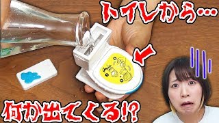 【閲覧注意】トイレに水を入れたら…なにこれ!?w 海外のトイレ型サプライズトイが気持ち悪すぎたww