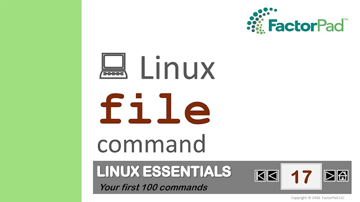 Linux file command summary with examples