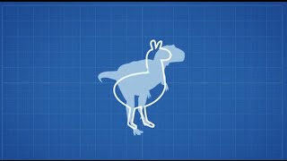 The Story of the CloudLock Chicken Llama