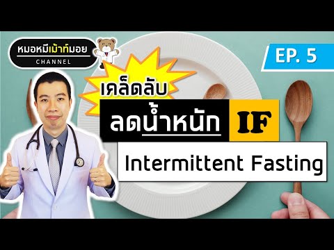New weight loss IF (Intermittent Fasting) | Talk to Doctor Bear EP.5
