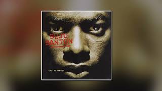 Buju Banton....Red Rose [1993] [PolyGram] [Island] [PentHouse] [PCS] [720p]