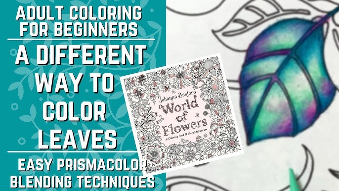 24 WAYS to Blend Colored Pencils – The Ultimate Blending Comparison