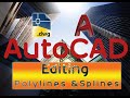 AutoCAD-Editing polylines and spline