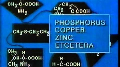 protein synthesis pt. 1