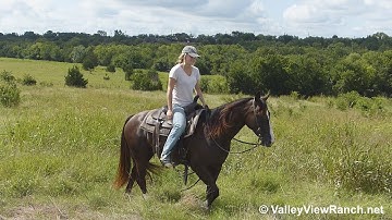 Chicken Nuget - trail riding - ValleyViewRanch.net