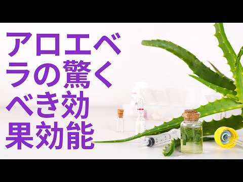 アロエベラの驚くべき効果効能 | 利点 Benefits - Japanese