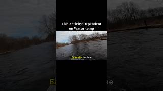 Fish Activity affected by Water temp #fishactivity #watertemp #steelhead #fishing #salmonriver