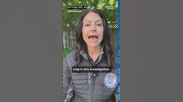 Twin Flames Universe under investigation by Michigan attorney general, search warrants executed