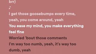 Travis Scott - goosebumps (Lyrics) ft. Kendrick Lamar Resimi