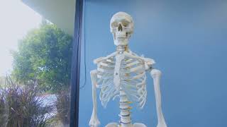 Core Performance PT   Newport Beach Clinic