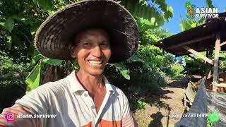 Download Lagu PULIH DARI CEDERA SETELAH KECELAKAAN, PAK BADIK KEMBALI KE LAHAN BETERNAK DAN SIAP BERKEBUN JAGUNG MP3 Download Lagu PULIH DARI CEDERA SETELAH KECELAKAAN, PAK BADIK KEMBALI KE LAHAN BETERNAK DAN SIAP BERKEBUN JAGUNG MP3