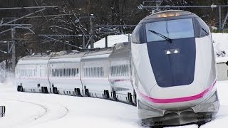 東北新幹線　新青森駅から乗車　盛岡駅にて連結