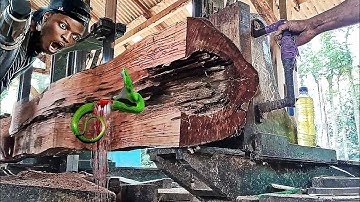 unexpected surprise while sawing a disturbing hollow teak log at the sawmill