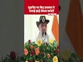Amit Shah Border Visit: घुसपैठ पर केंद्र सरकार ने बनाई हाई लेवल कमेटी #shorts #bjp #amitshah